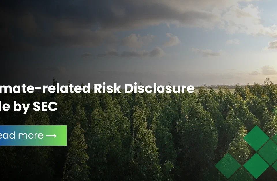 Forest landscape under changing sky symbolizing climate-related risk disclosure and environmental impact reporting by the SEC