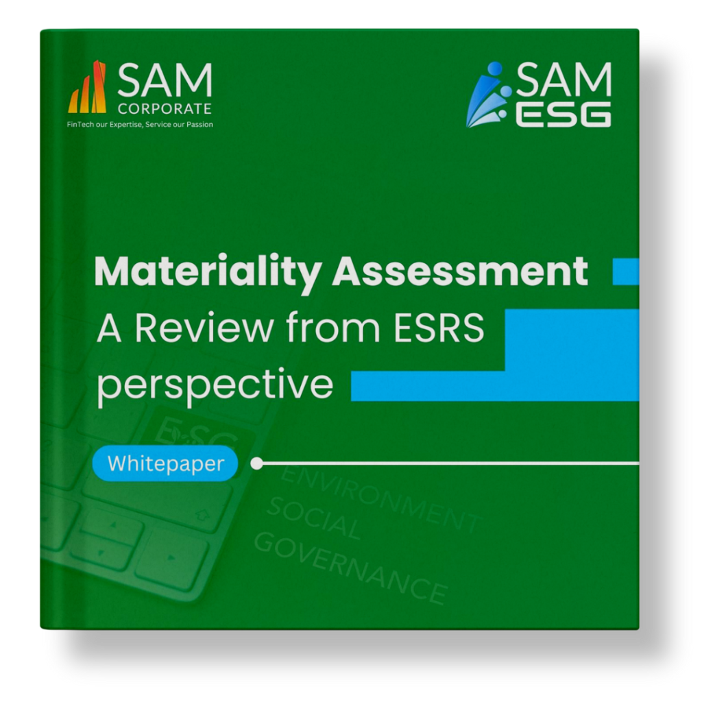 Materiality Assessment: A Review from ESRS Perspective
