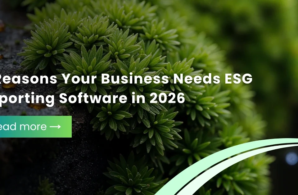 Fintech Our Expertise, Service Our Passion