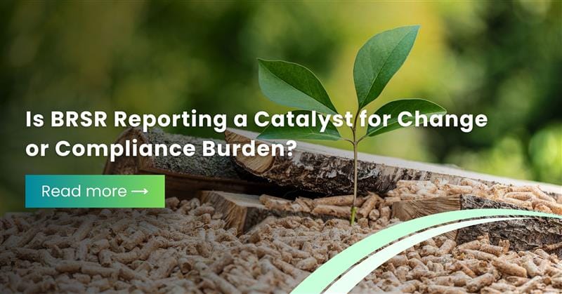 Is BRSR Reporting a Catalyst for Change or Compliance Burden?