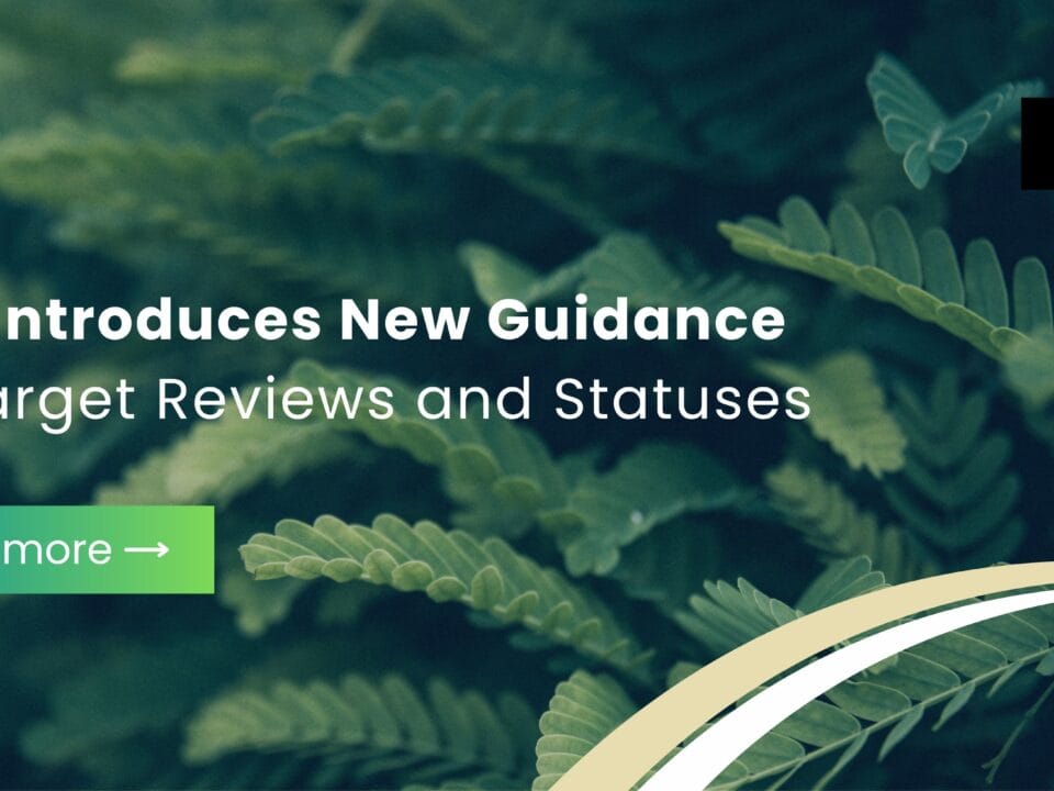 Fintech Our Expertise, Service Our Passion