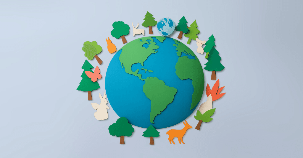 Fintech Our Expertise, Service Our Passion