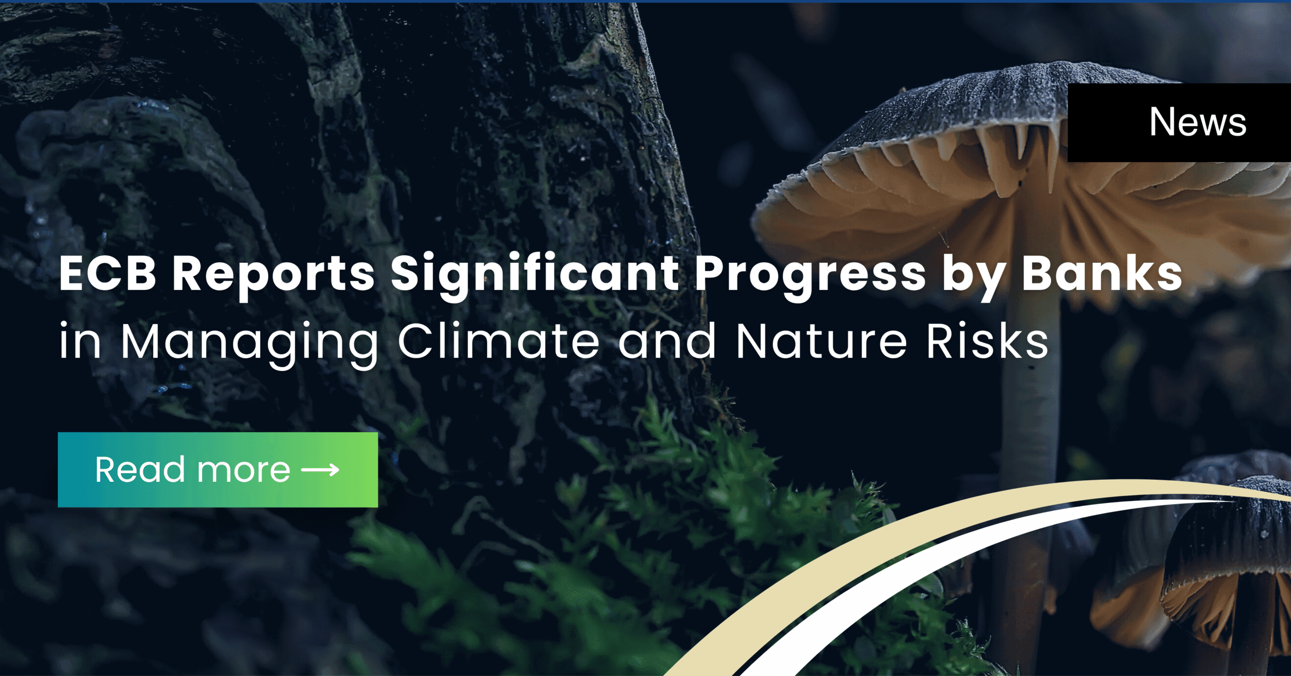 Fintech Our Expertise, Service Our Passion