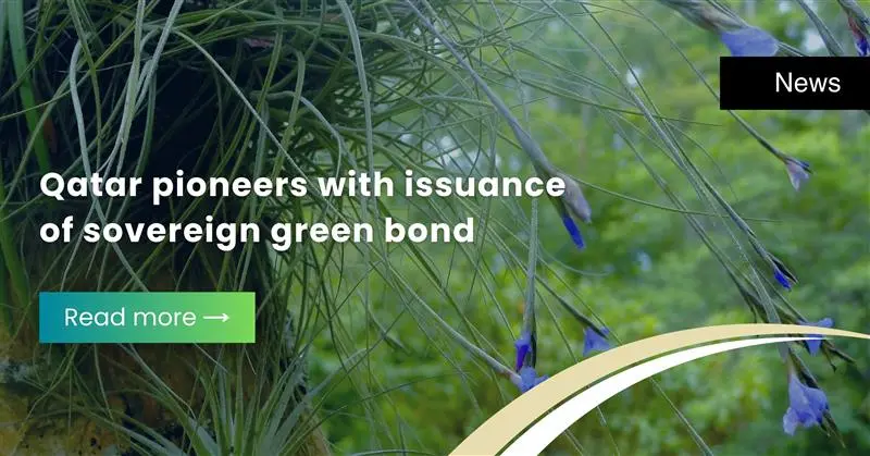 Fintech Our Expertise, Service Our Passion