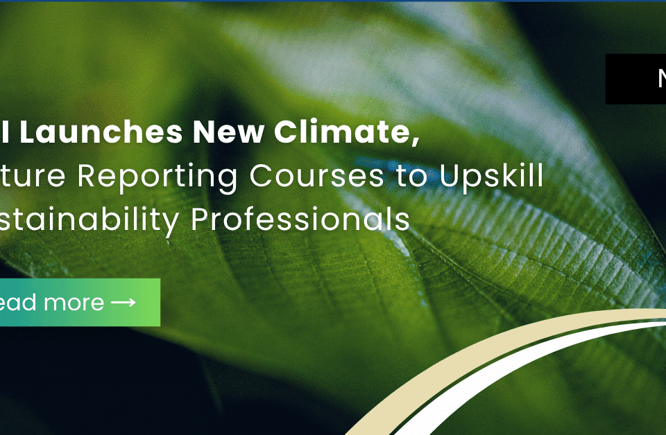 Fintech Our Expertise, Service Our Passion