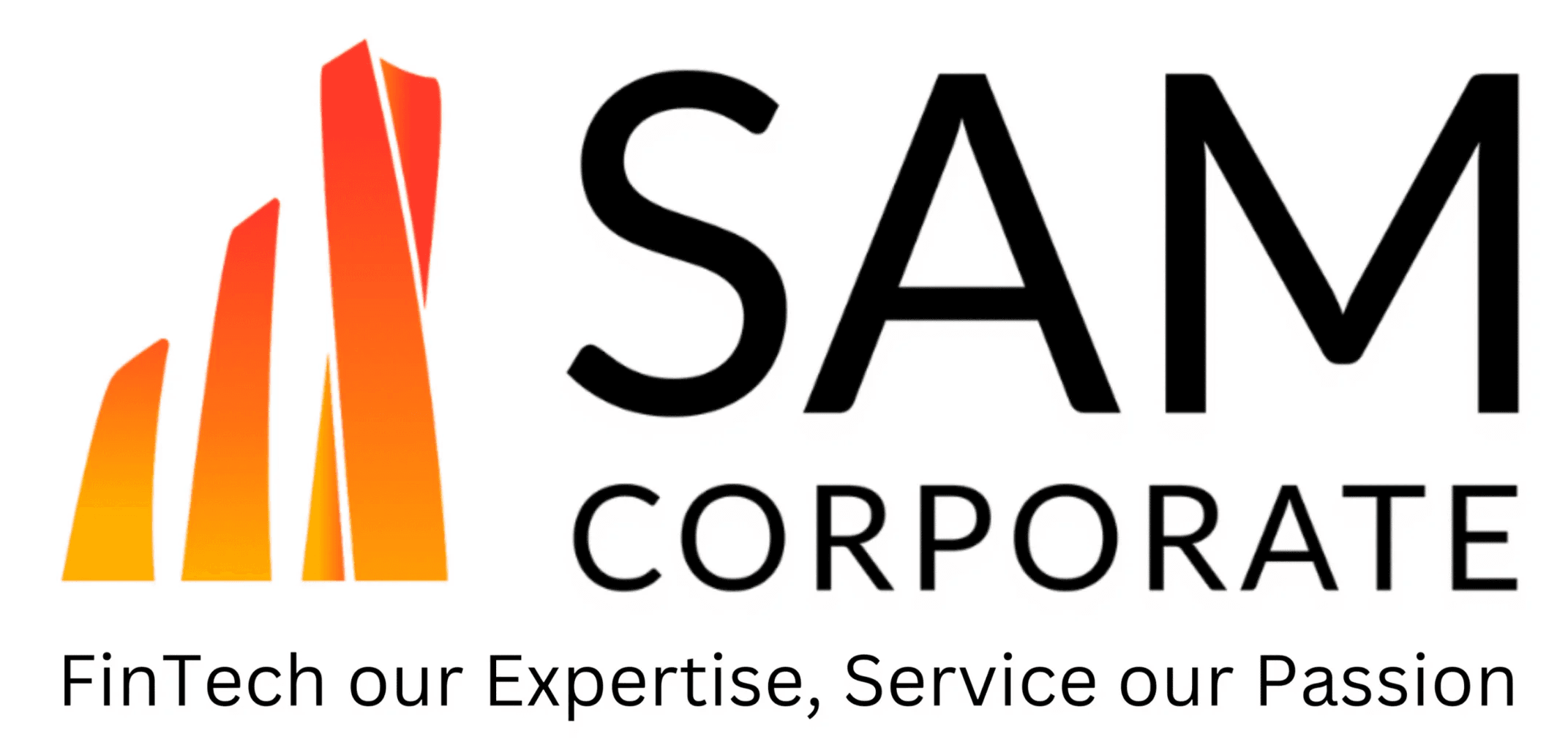 Fintech Our Expertise, Service Our Passion