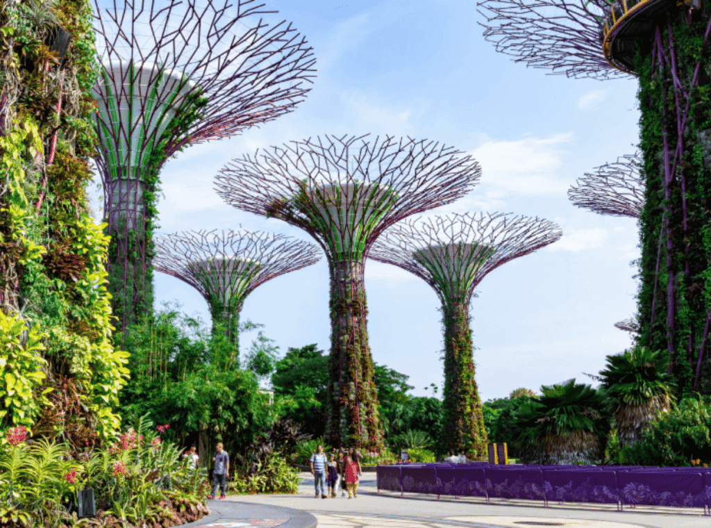 Fintech Our Expertise, Service Our Passion