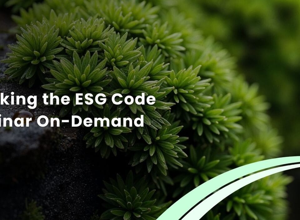 Fintech Our Expertise, Service Our Passion