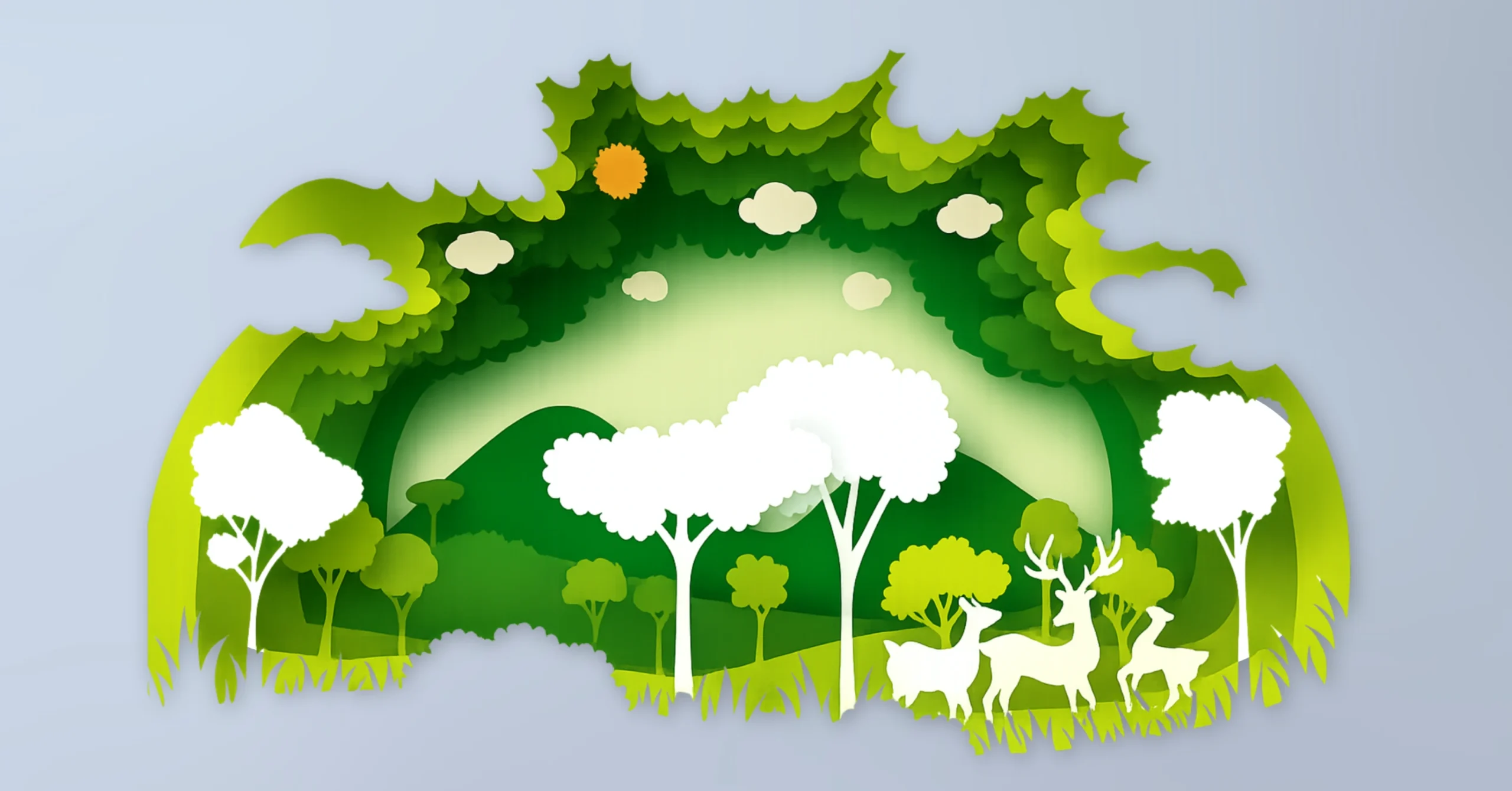 Fintech Our Expertise, Service Our Passion