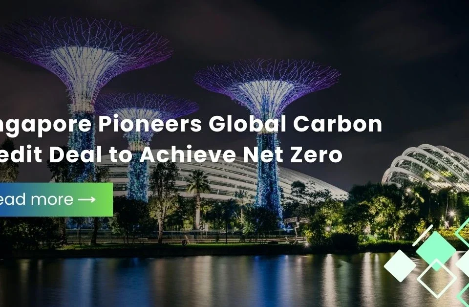 Fintech Our Expertise, Service Our Passion