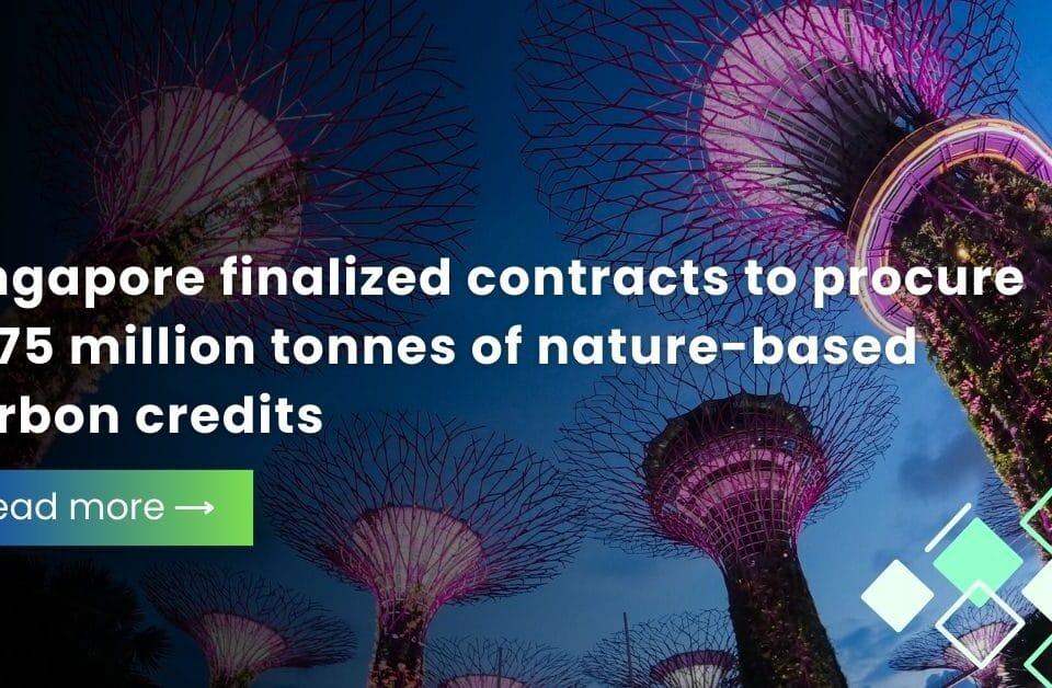 Fintech Our Expertise, Service Our Passion