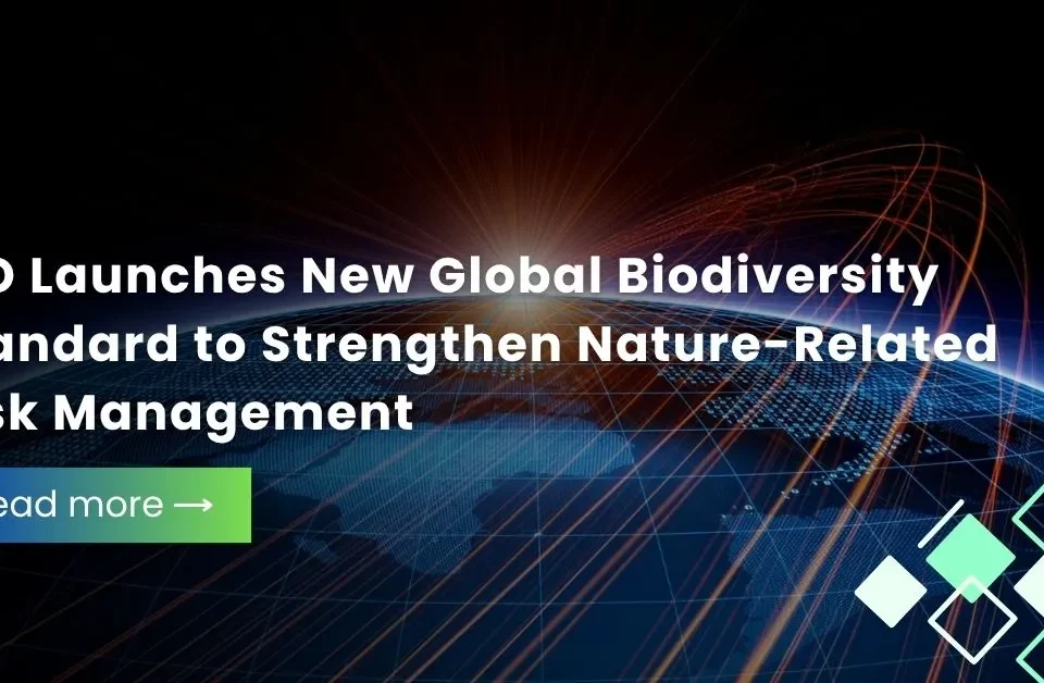 Fintech Our Expertise, Service Our Passion