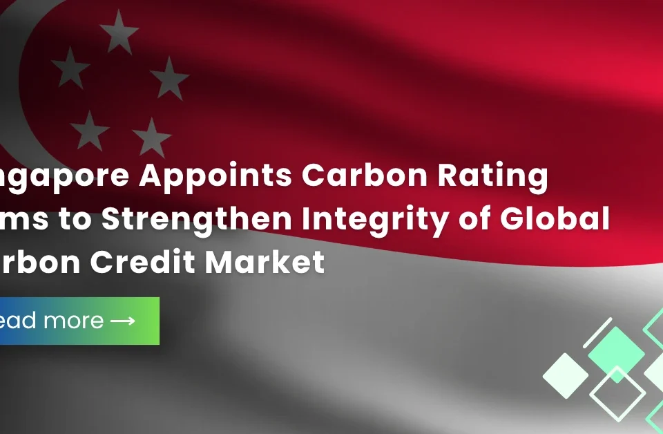 Fintech Our Expertise, Service Our Passion