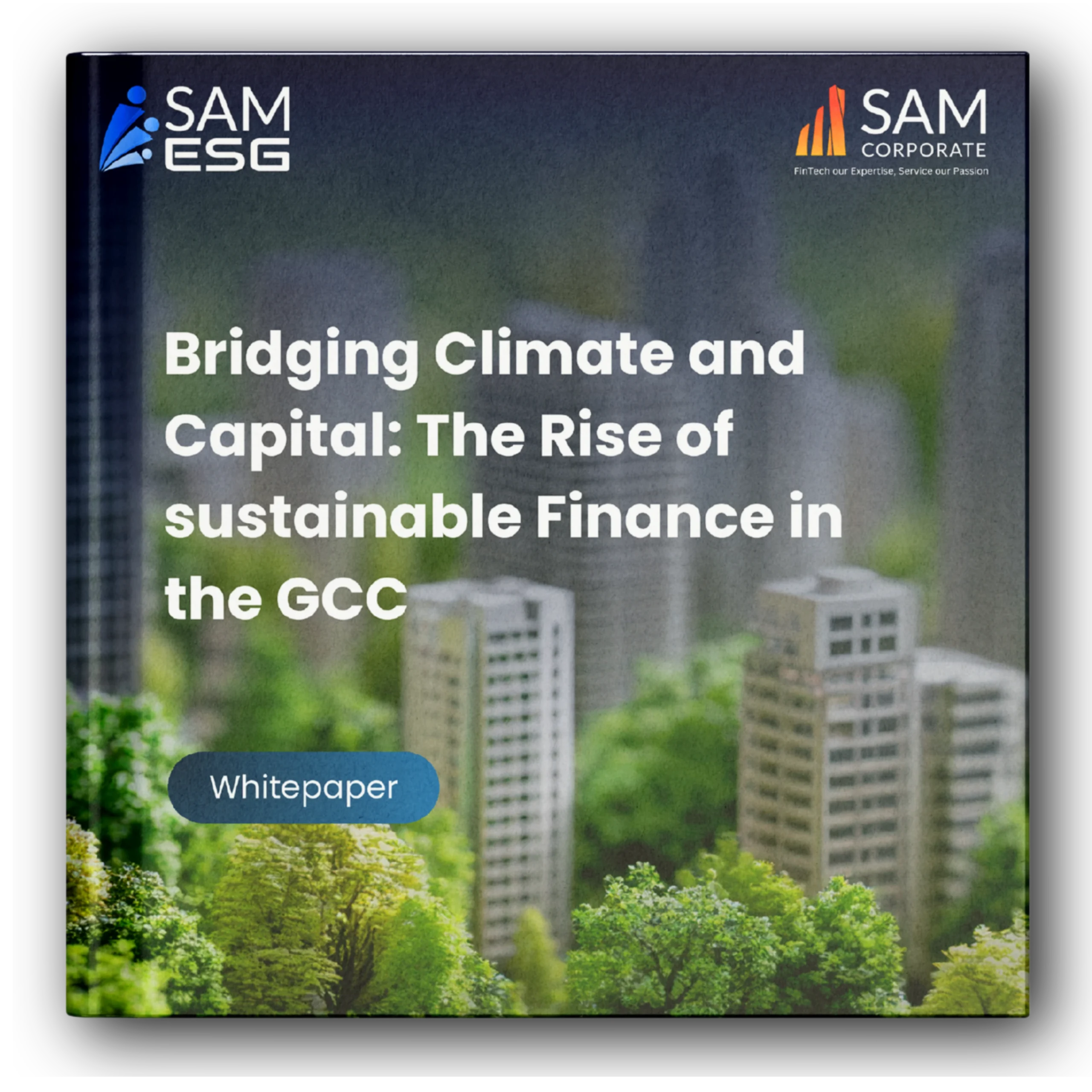 Fintech Our Expertise, Service Our Passion