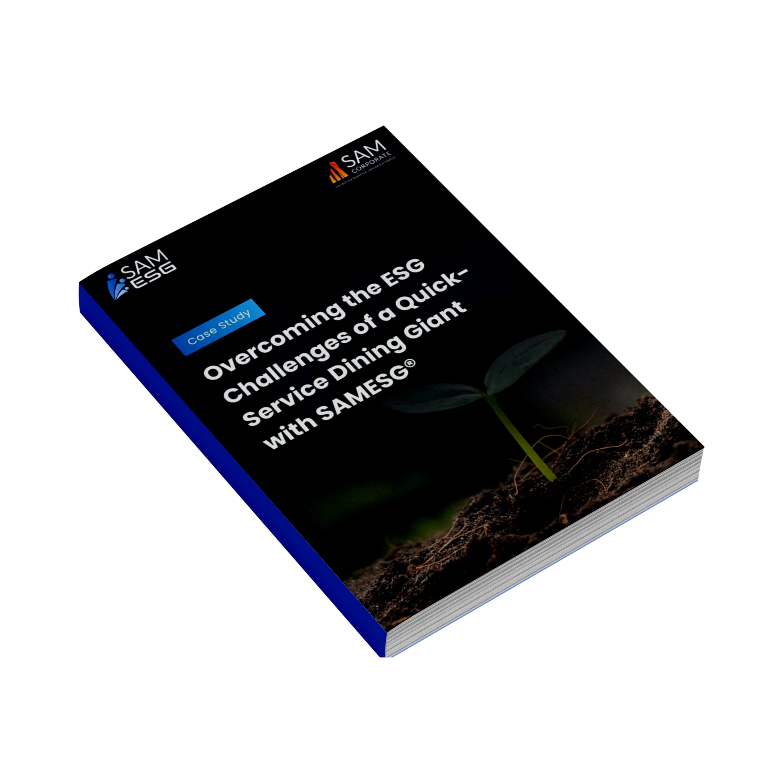 Fintech Our Expertise, Service Our Passion