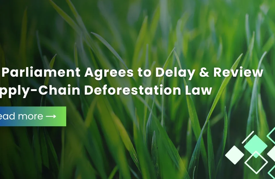 Fintech Our Expertise, Service Our Passion