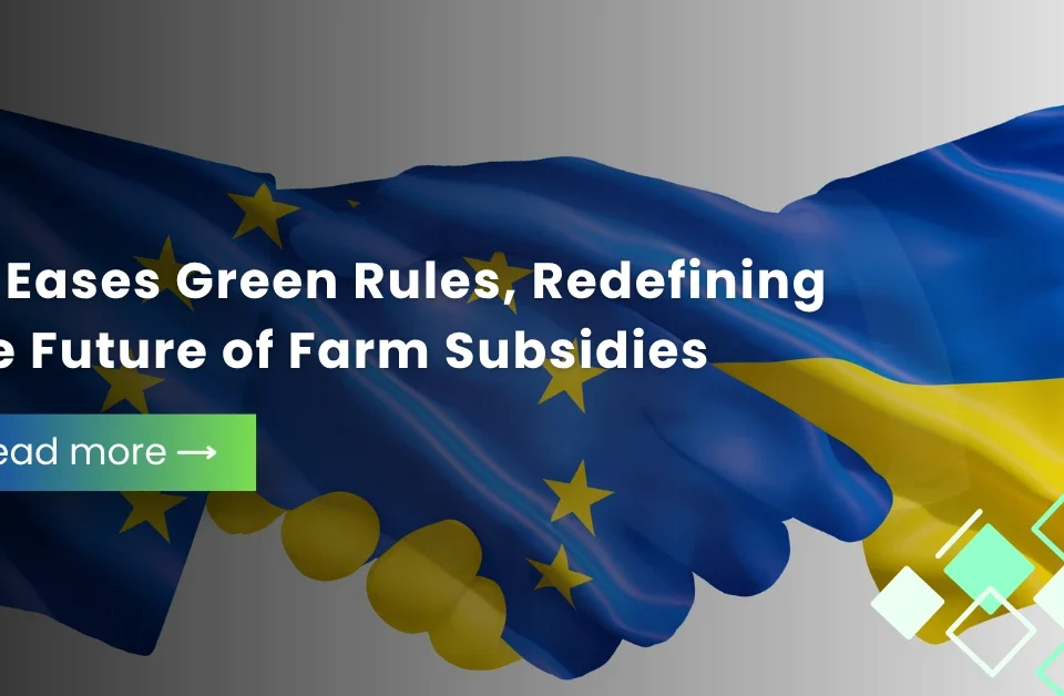 Fintech Our Expertise, Service Our Passion