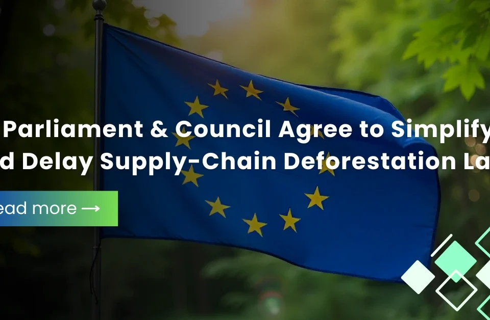 European Union flag symbolizing new EU agreement to simplify and delay supply-chain deforestation law
