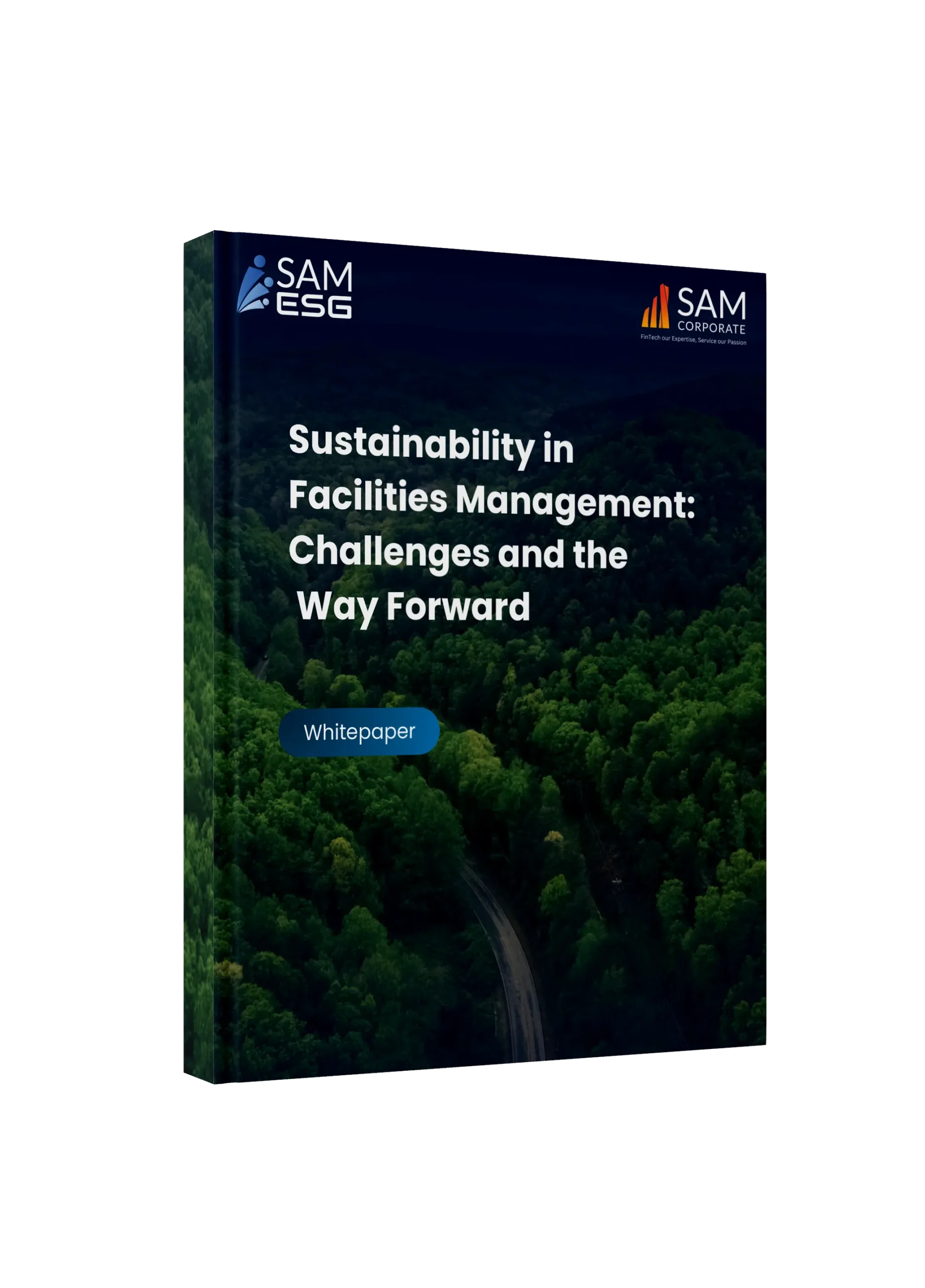 Fintech Our Expertise, Service Our Passion