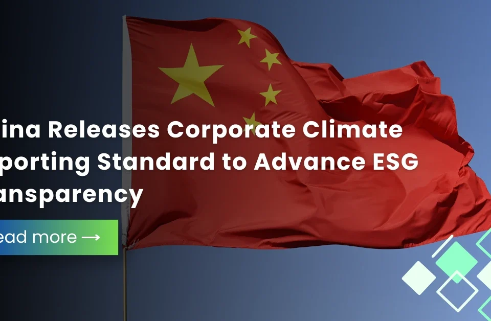 Fintech Our Expertise, Service Our Passion