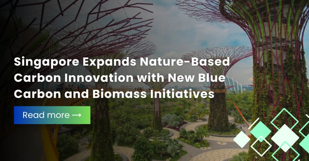 Singapore Expands Nature-Based Carbon Innovation with New Blue Carbon and Biomass Initiatives