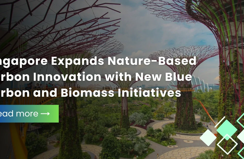 Gardens by the Bay Supertree Grove in Singapore with text about the country expanding nature-based carbon innovation and blue carbon initiatives.