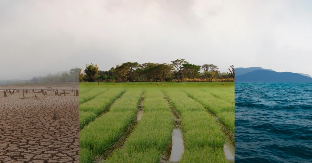 A wide-angle view of a parched, cracked earth landscape under a clear sky, illustrating the severe impact of drought and climate change on global agriculture and water resources.