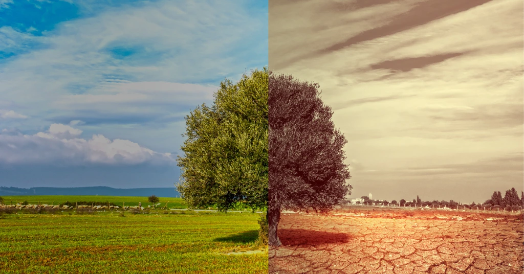 Split landscape showing green fertile land versus dry cracked soil, illustrating climate change impacts and the urgency of climate mitigation and adaptation