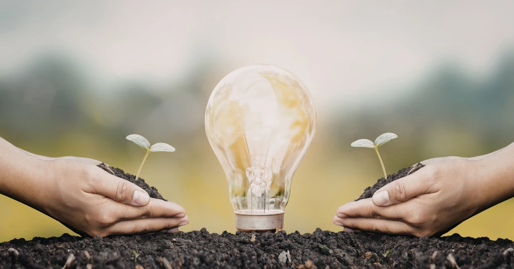 Hands holding small green seedlings in soil next to a glowing light bulb, symbolizing sustainable innovation and green energy ideas