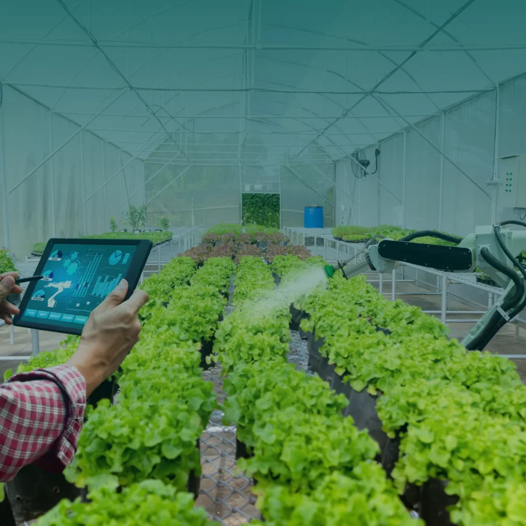 Fintech Our Expertise, Service Our Passion