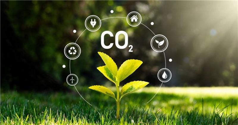 New York Lawmakers Approve GHG Emissions Disclosure Bill for Large Corporations