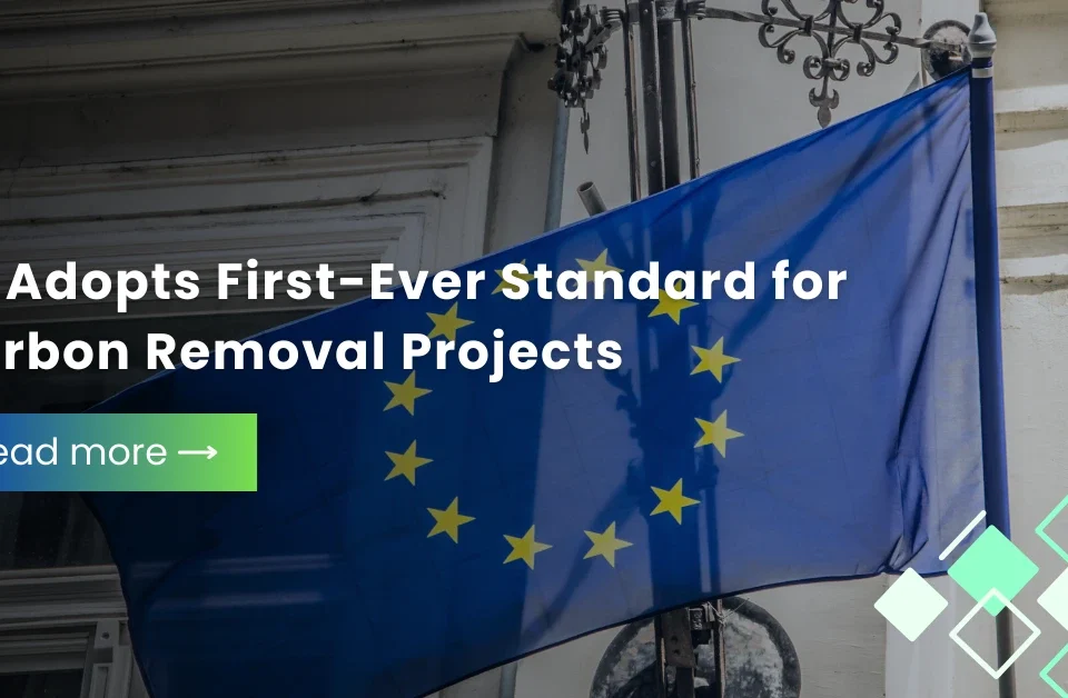 The European Union flag waving in front of a building, representing the EU's adoption of the first-ever certification framework for carbon removal projects.