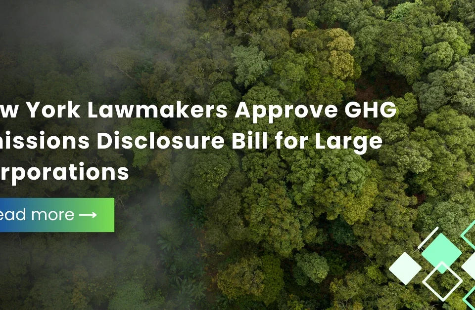 Aerial view of a dense green forest canopy illustrating New York lawmakers' approval of a GHG emissions disclosure bill.