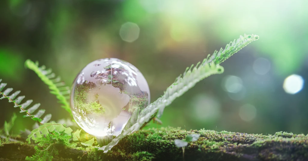 A clear crystal globe sitting on a mossy log surrounded by green ferns, representing global environmental sustainability and ESG.