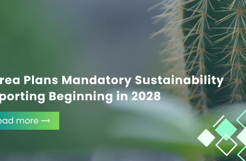 A close-up of a green cactus with sharp needles and a text overlay regarding South Korea's plans for mandatory sustainability reporting beginning in 2028.