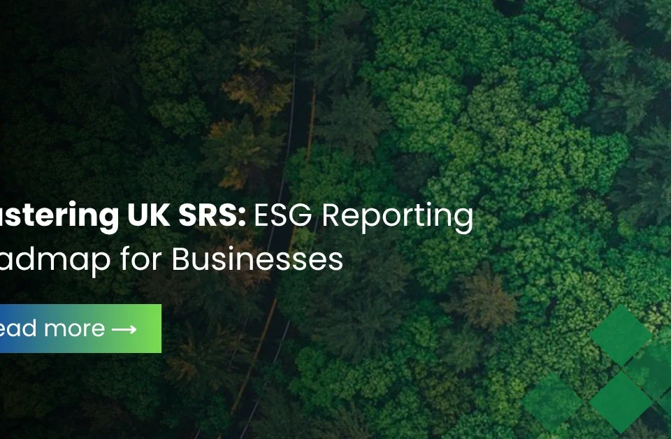Aerial view of a winding road through a dense green forest, representing the UK SRS ESG reporting roadmap.