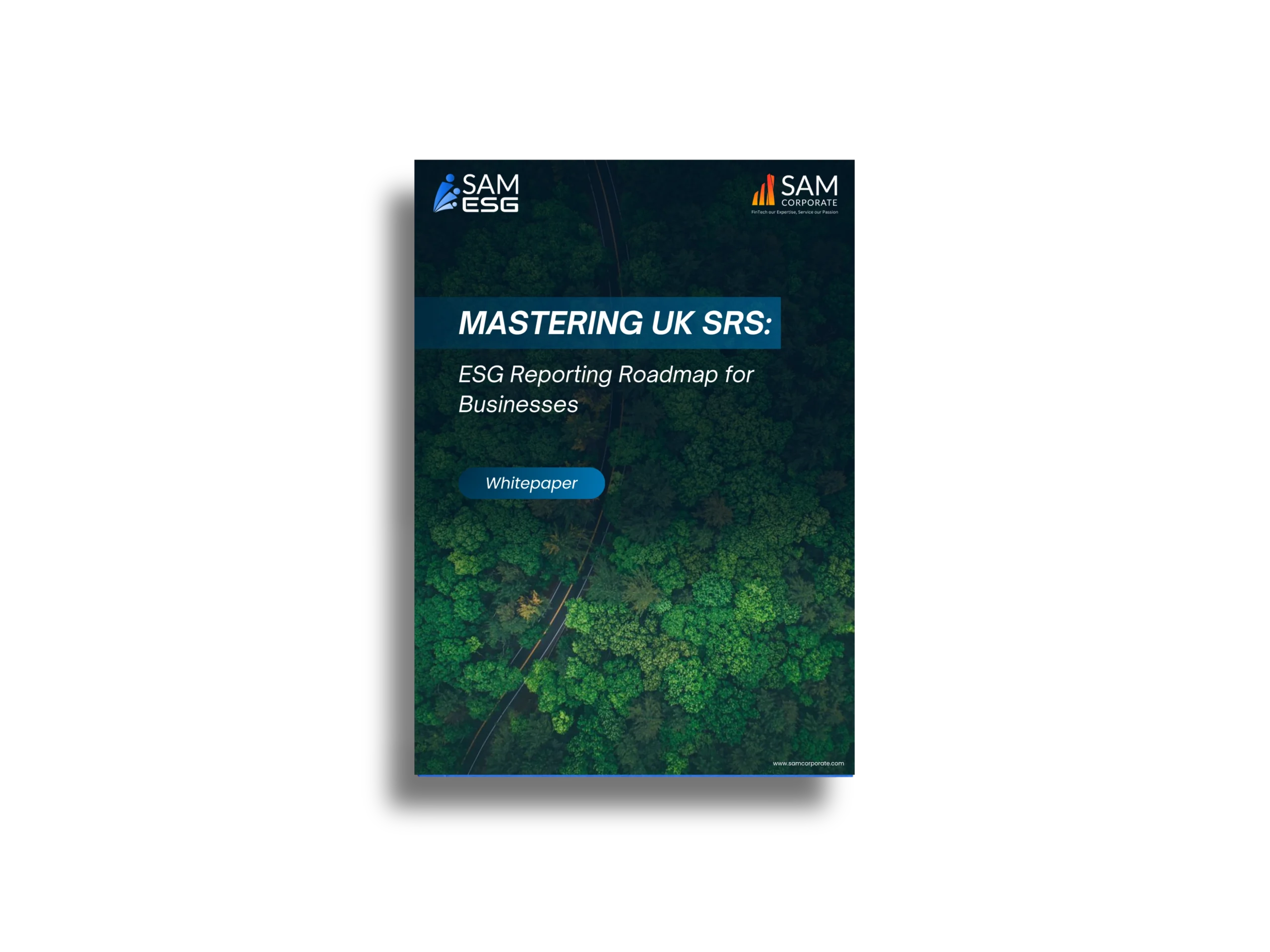 Fintech Our Expertise, Service Our Passion