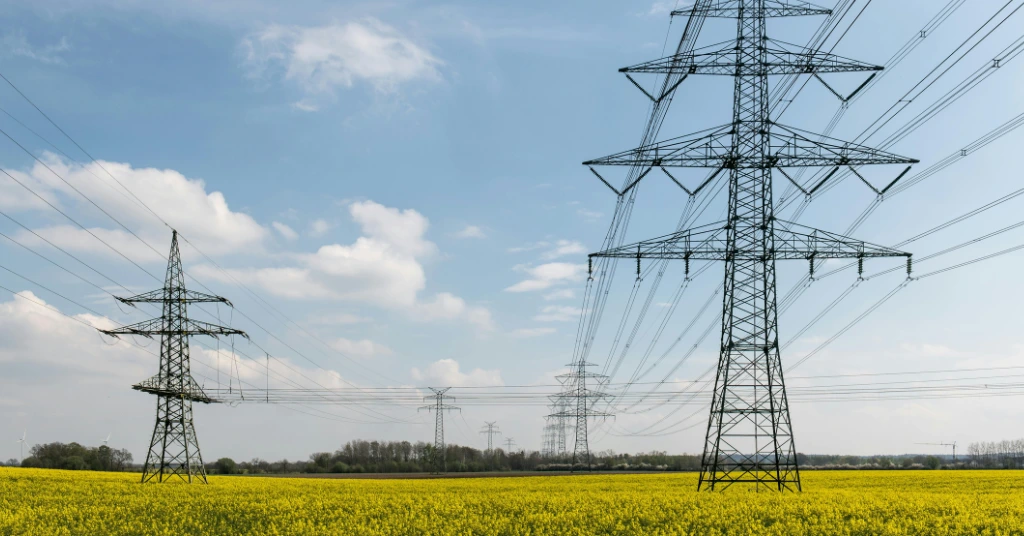 Electricity pylons over a yellow agricultural field under a blue sky.