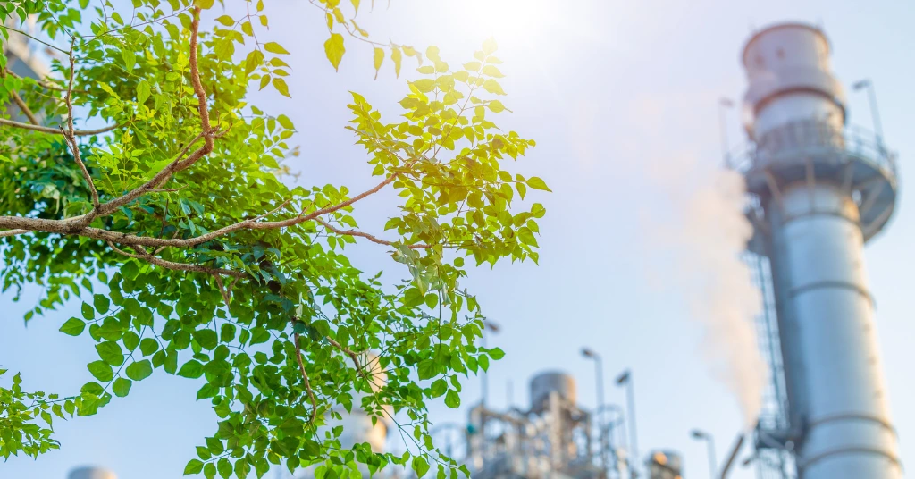Bright green tree leaves in the foreground with a blurred industrial facility and smokestack in the background under a sunny sky.