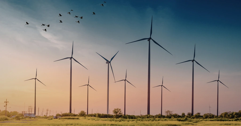 Several large wind turbines in a grassy field with birds flying overhead at sunset representing clean energy.