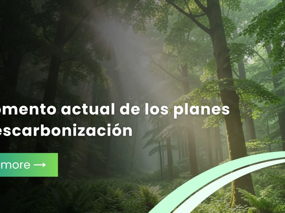 El momento actual de los planes de descarbonización