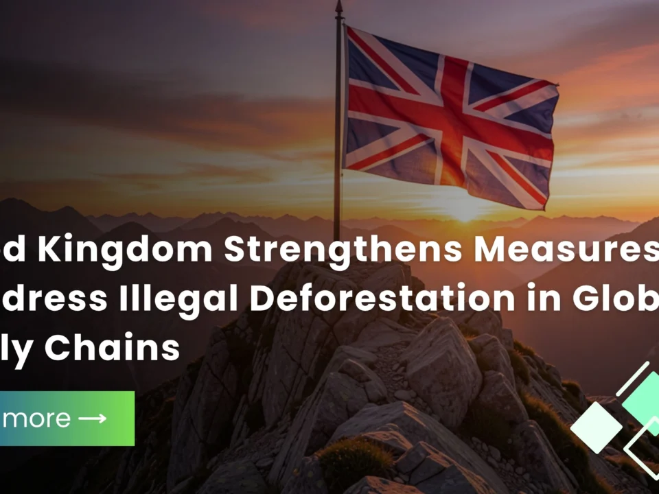 Sustainable Supply Chains Gain Momentum Through Stronger Deforestation Measures