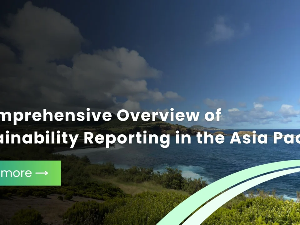 A Comprehensive Overview of Sustainability Reporting in the Asia Pacific