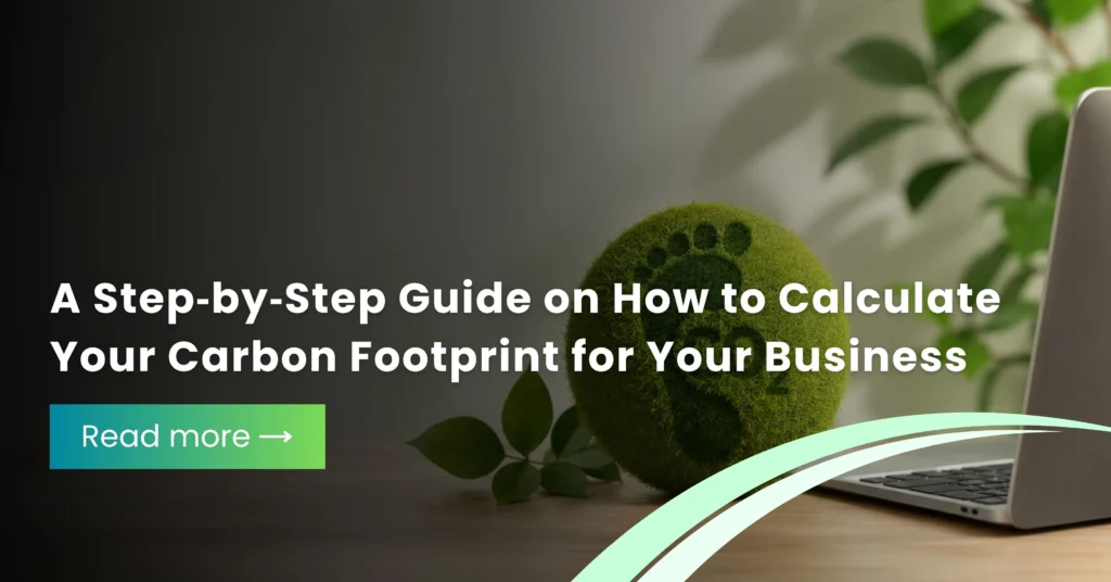 A Step by Step Guide on How to Calculate Your Carbon Footprint for Your Business