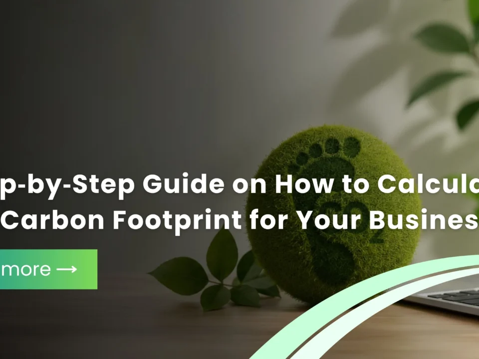 A Step‑by‑Step Guide on How to Calculate Your Carbon Footprint for Your Business