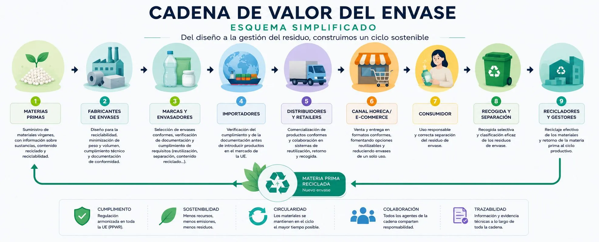 Cadena de valor del envase bajo el PPWR: materias primas, fabricación, distribución, consumo, recogida y reciclaje