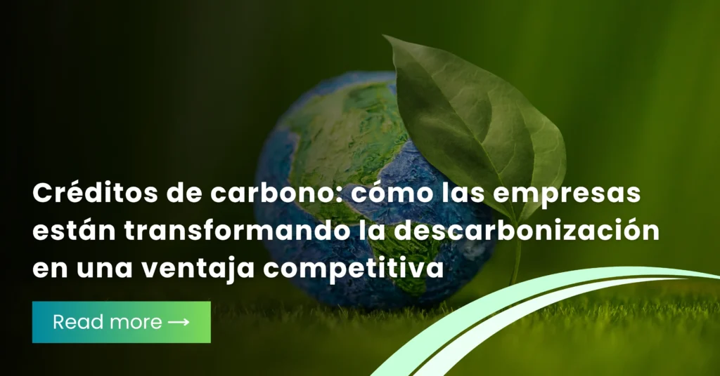 Créditos de carbono: cómo las empresas están transformando la descarbonización en una ventaja competitiva