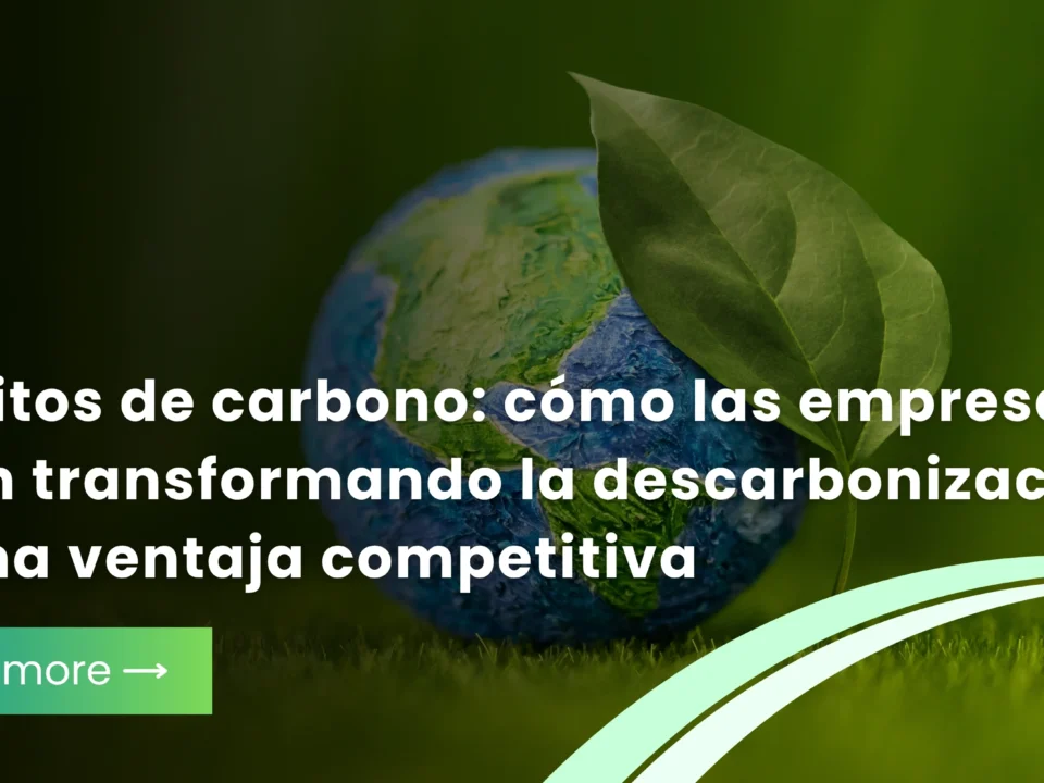 Créditos de carbono: cómo las empresas están transformando la descarbonización en una ventaja competitiva