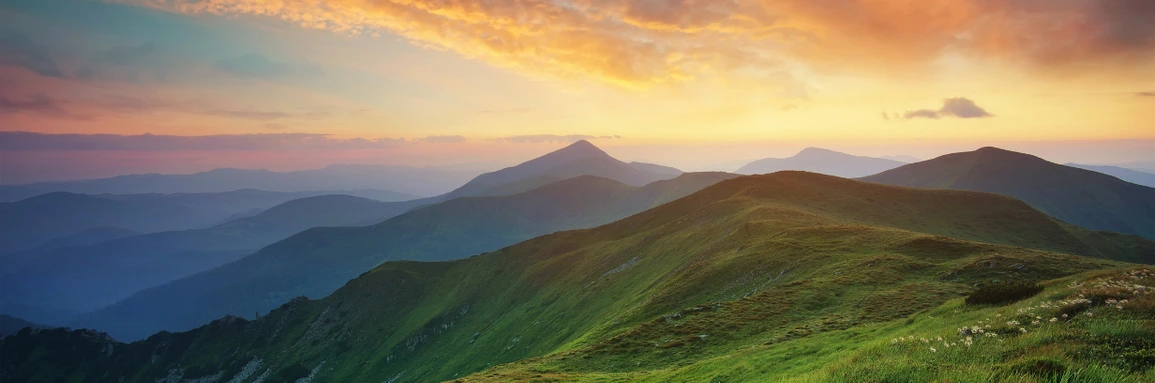 Explore how the new GHG Protocol LSR guidance strengthens corporate climate accounting for land emissions, removals, and carbon reporting.