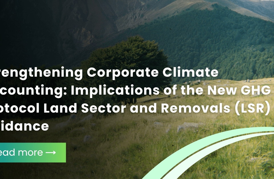 Strengthening Corporate Climate Accounting: Implications of the New GHG Protocol Land Sector and Removals (LSR) Guidance